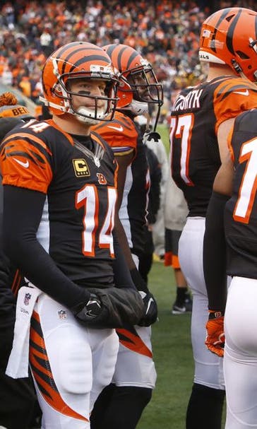 Cincinnati Bengals: When Does The Madness End?